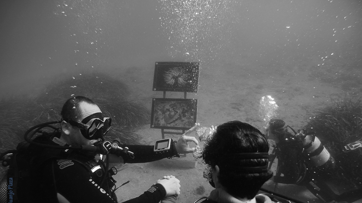 Es el único proyecto del mundo en este tipo de formato