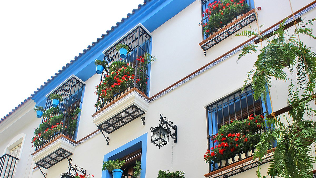 La casa de la Calle Buena Fe ha sido la ganadora.