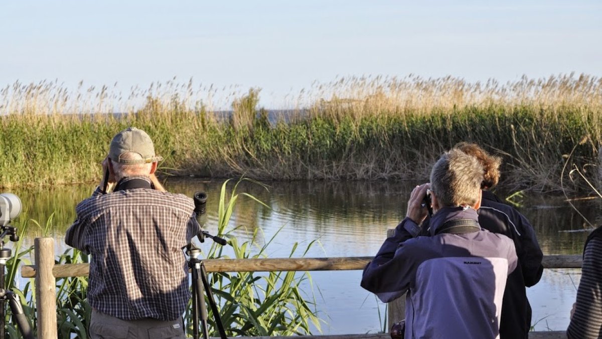 Turistas suizos observan en la Algaida aves que solo se pueden ver aquí.