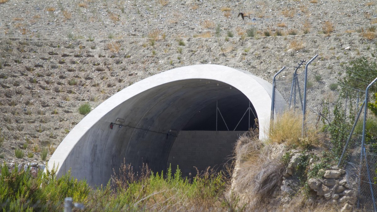 El túnel tapiado de Gafarillos, uno de los iconos de la falta de consistencia del proyecto del AVE en la provincia de Almería.