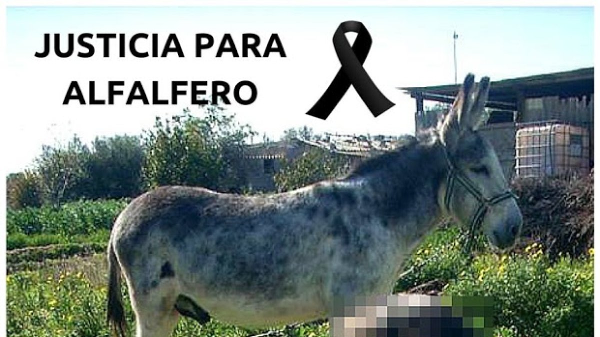 Imagen difundida tras darse a conocer los hechos.