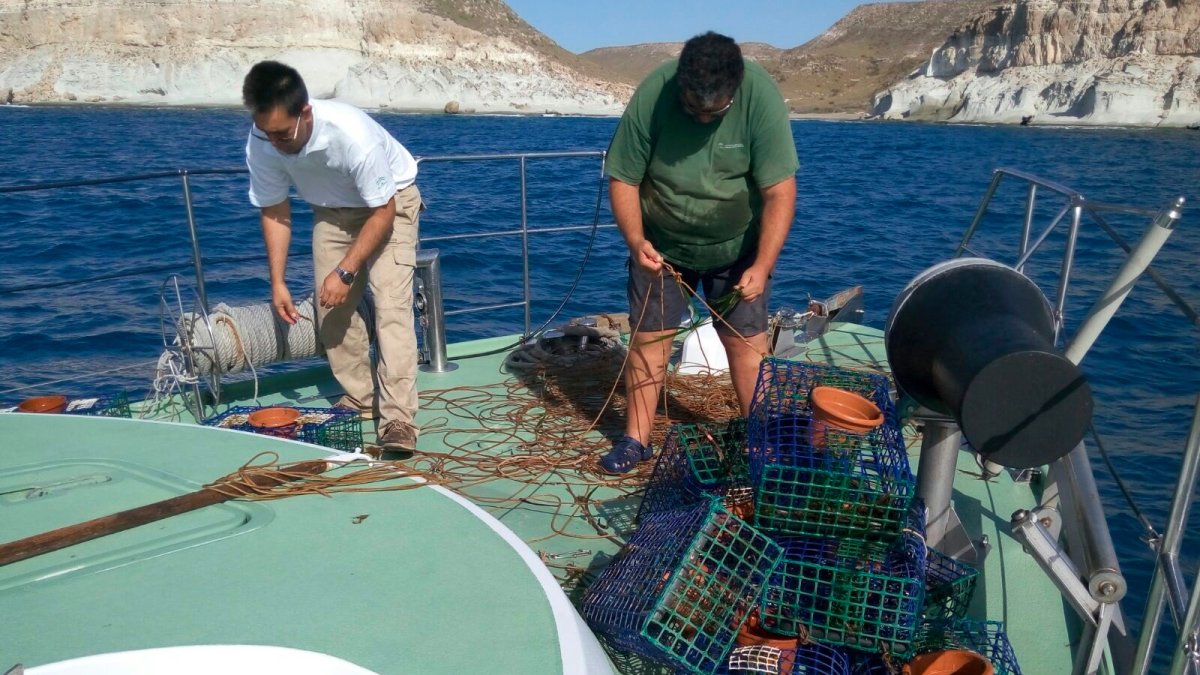 Imagen del decomiso de las artes prohibidas.