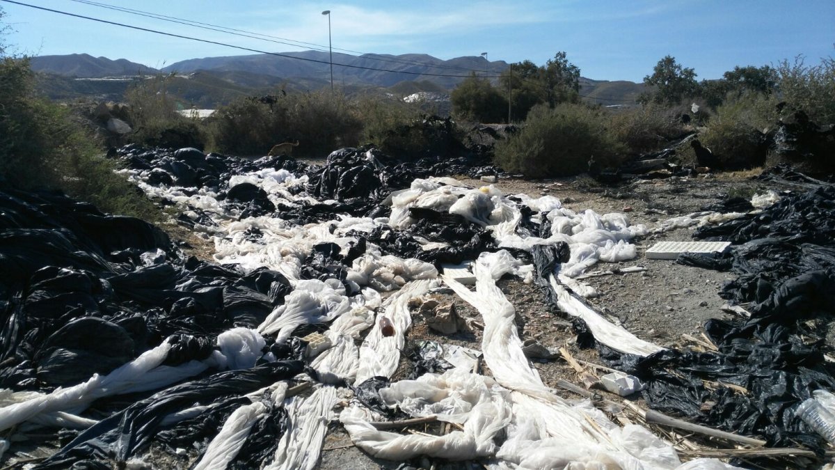 Aspecto del cauce del río Adra el pasado domingo en un tramo entre el enlace con la A-7 y el barrio de La Alquería.