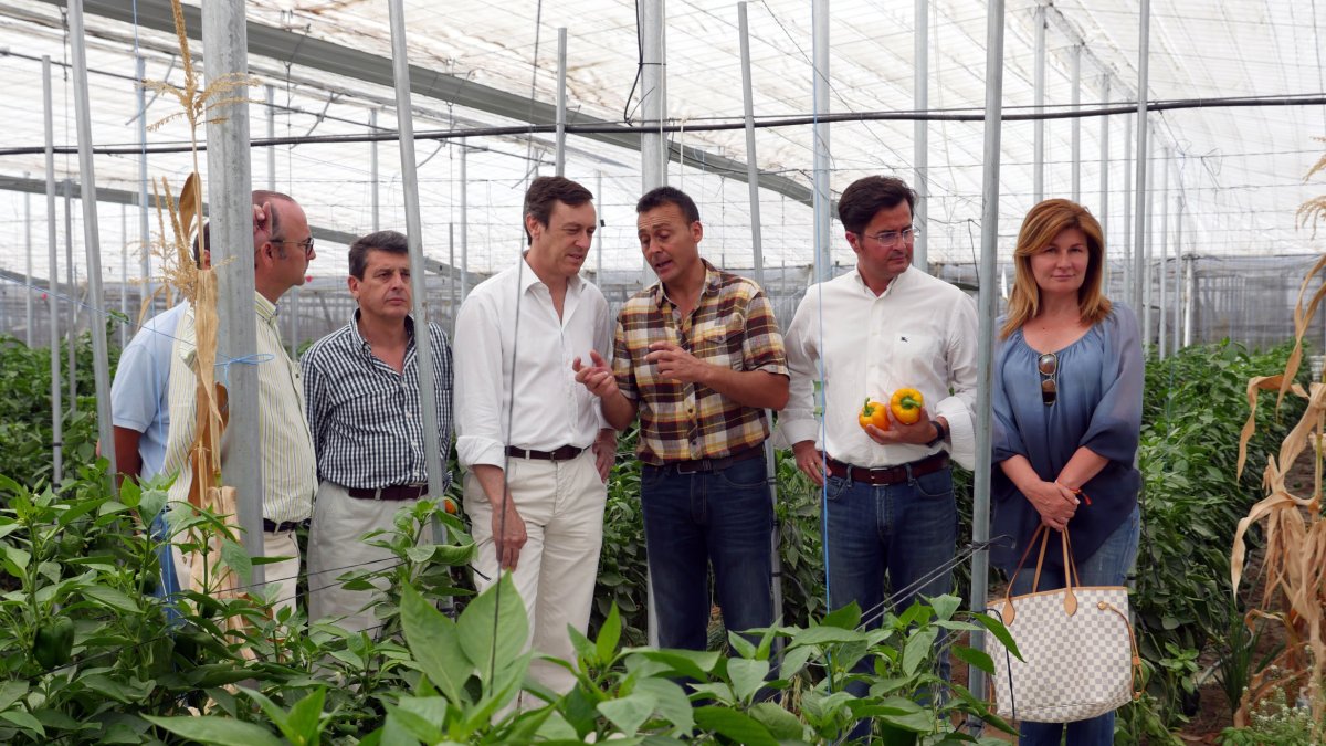 Candidatos del PP en un invernadero.