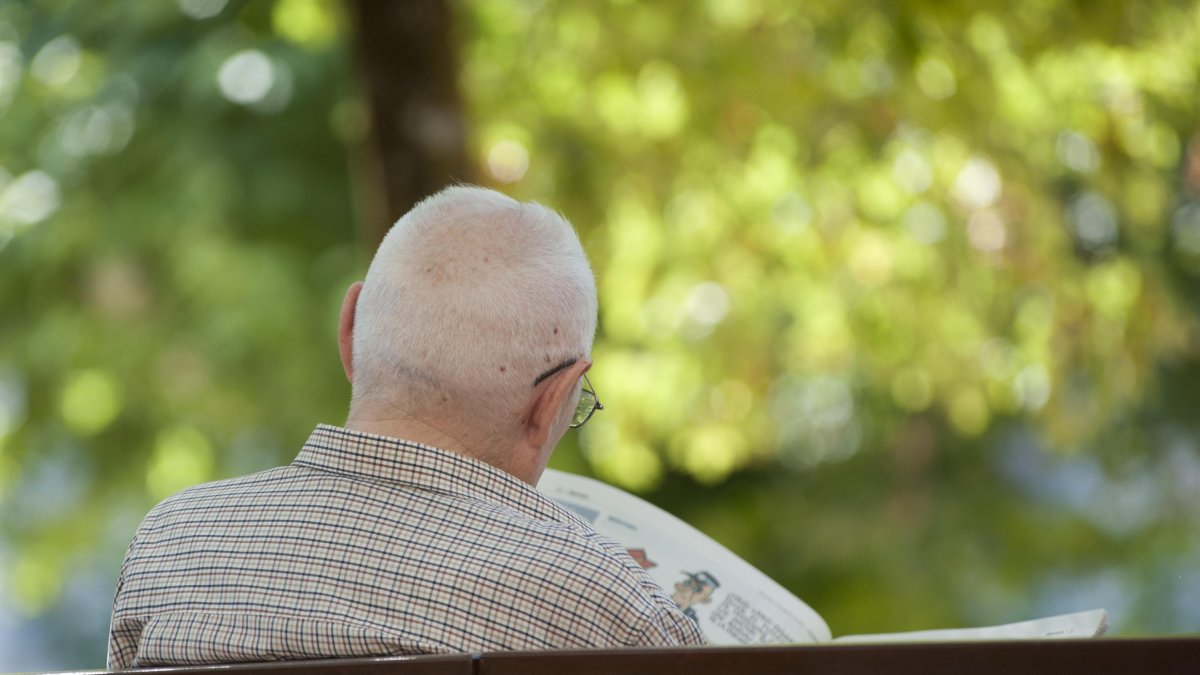 Una persona mayor descansa mientras lee la prensa en un parque de la ciudad.