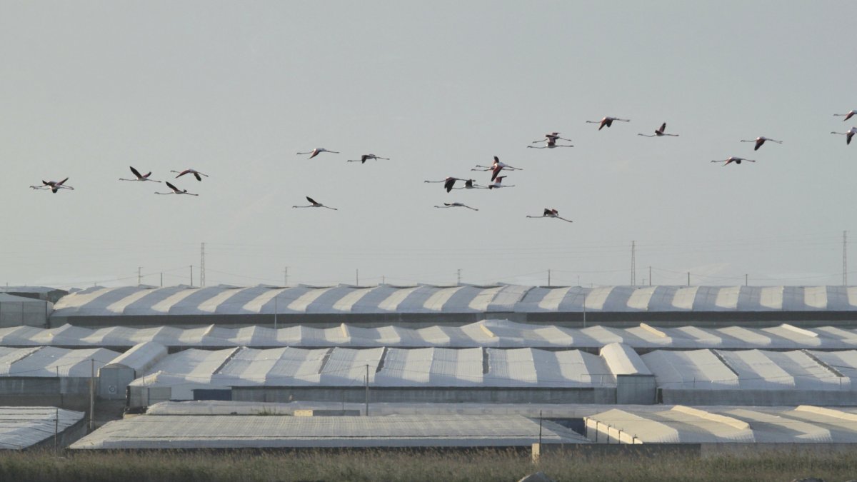 Un campo limpio mejora la imagen de la agricultura