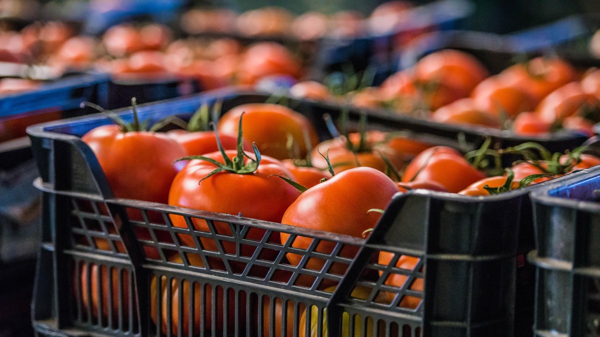 Los productos agrículas de Almería se han visto seriamente afectados por las políticas rusas en cuanto a comercio de productos perecederos.