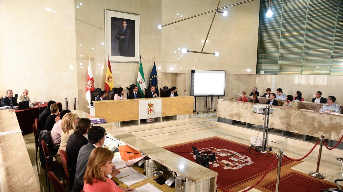 Sesión ordinaria del Pleno