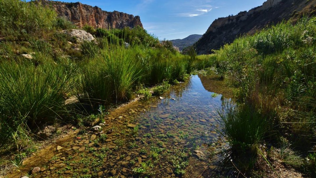 El manantial de Los Molinos del Río Aguas, en el Karst en Yesos de Sorbas, es un espacio único en Europa en riesgo de desaparecer. FOTO: ION HOLBAN