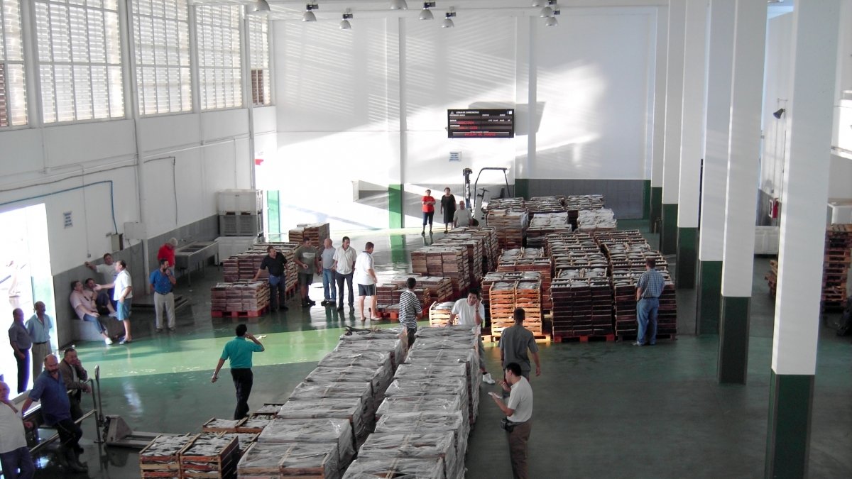 Jornada de venta de pescado en la lonja de Carboneras dedicada principalmente al palangre de superficie.