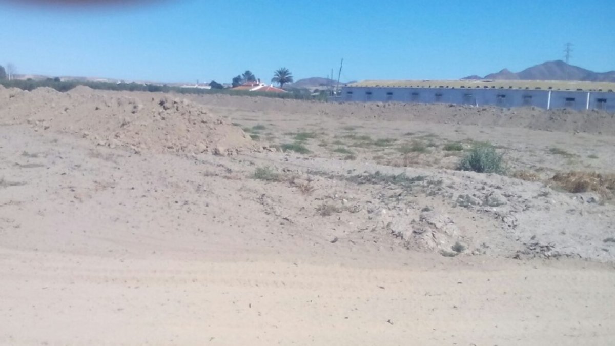 Parcela para la granja, con las viviendas al fondo.