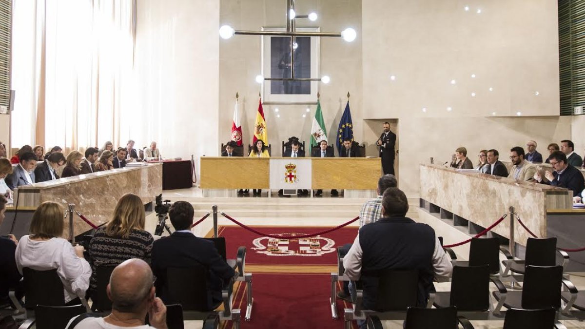 Sesión plenaria del Ayuntamiento de Almería