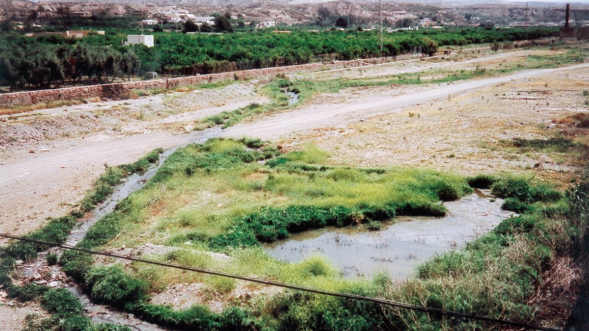 Vertidos de aguas residuales en el cauce del Río Andarax, un problema ya histórico que no cesa.