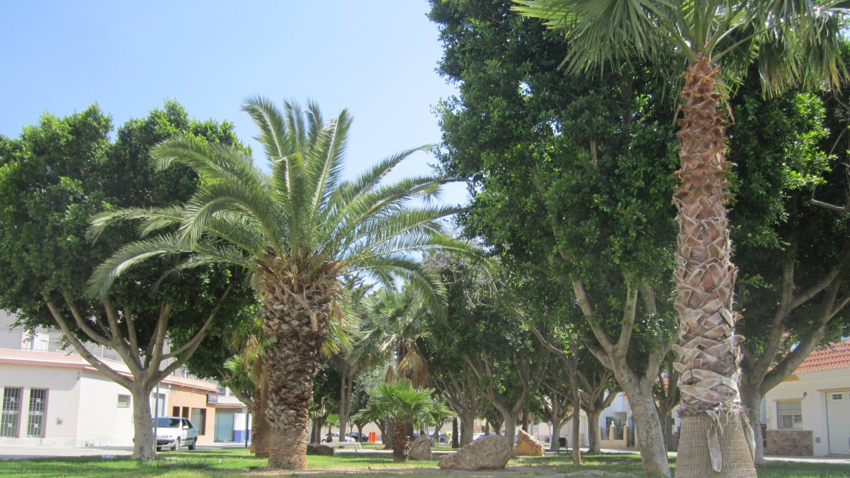 En la imagen, la Plaza Zenete de El Ejido
