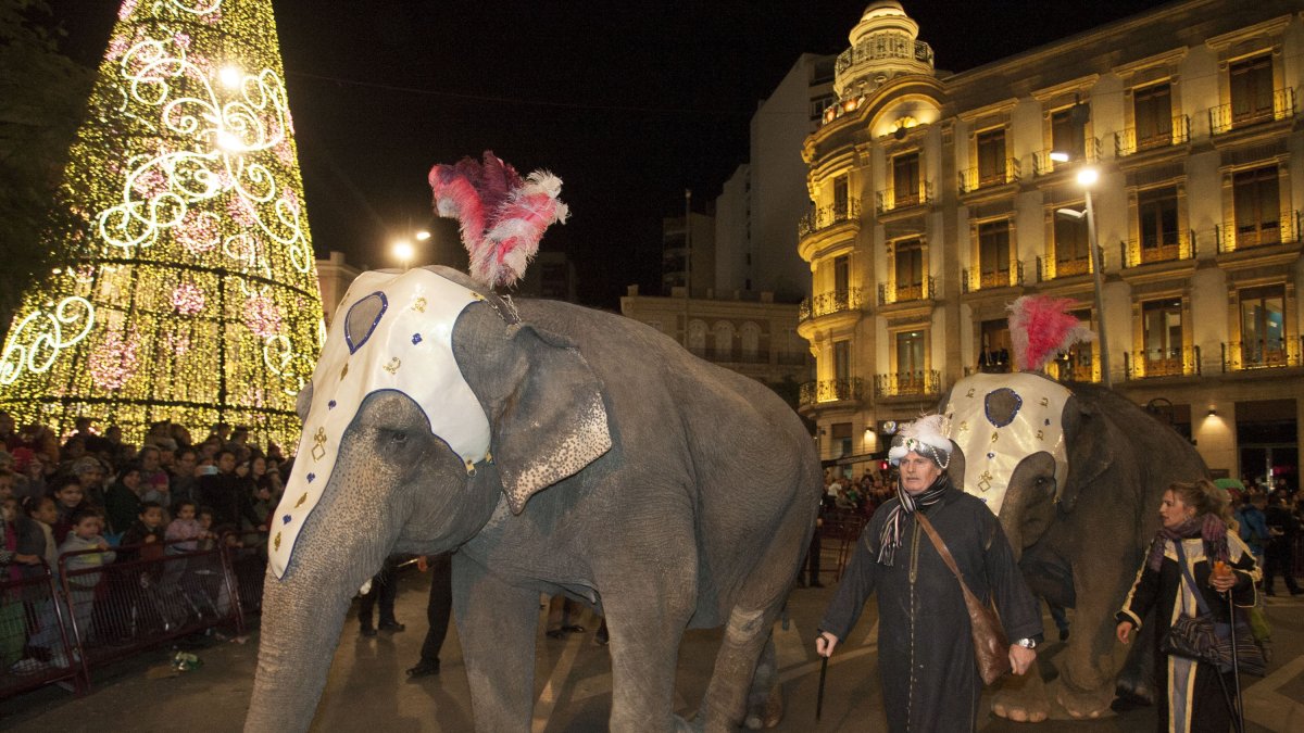 Elefantes en la Cabalgata de Reyes de la capital.