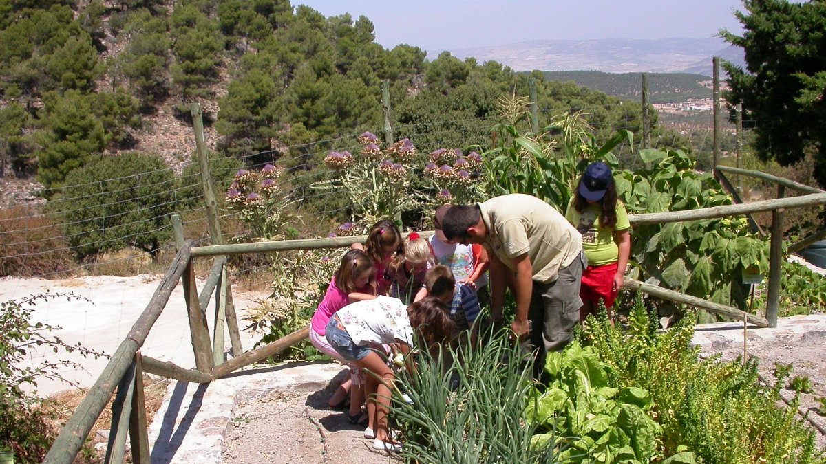 Visitantes en el jardín botánico