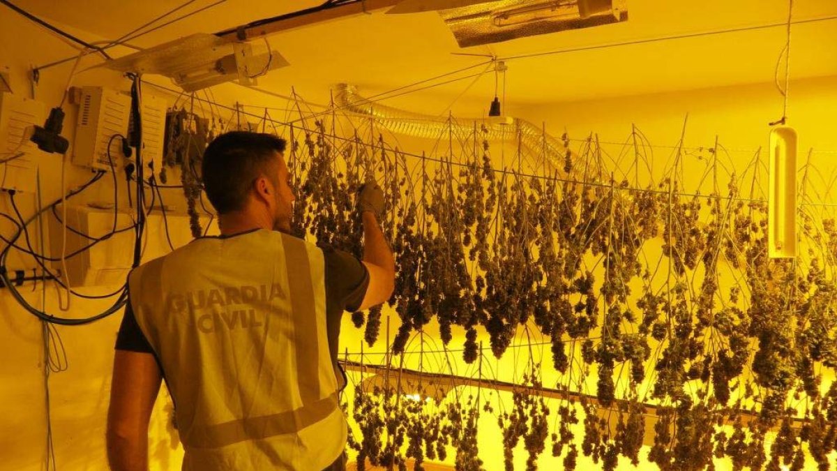 Registro de la Guardia Civil