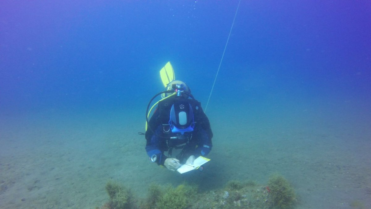 Tras el hallazgo, se avisó al Servicio de Emergencias 112 para poner en marcha el protocolo establecido.