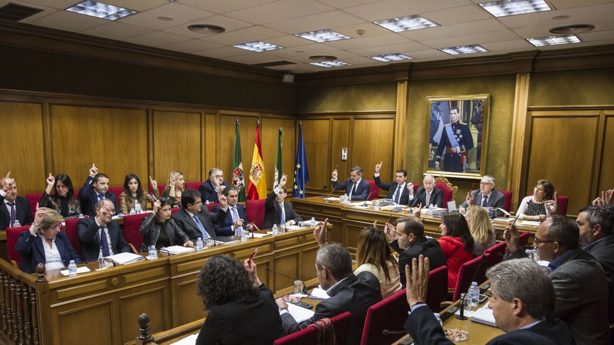 Uno de los momentos del Pleno celebrado este viernes.