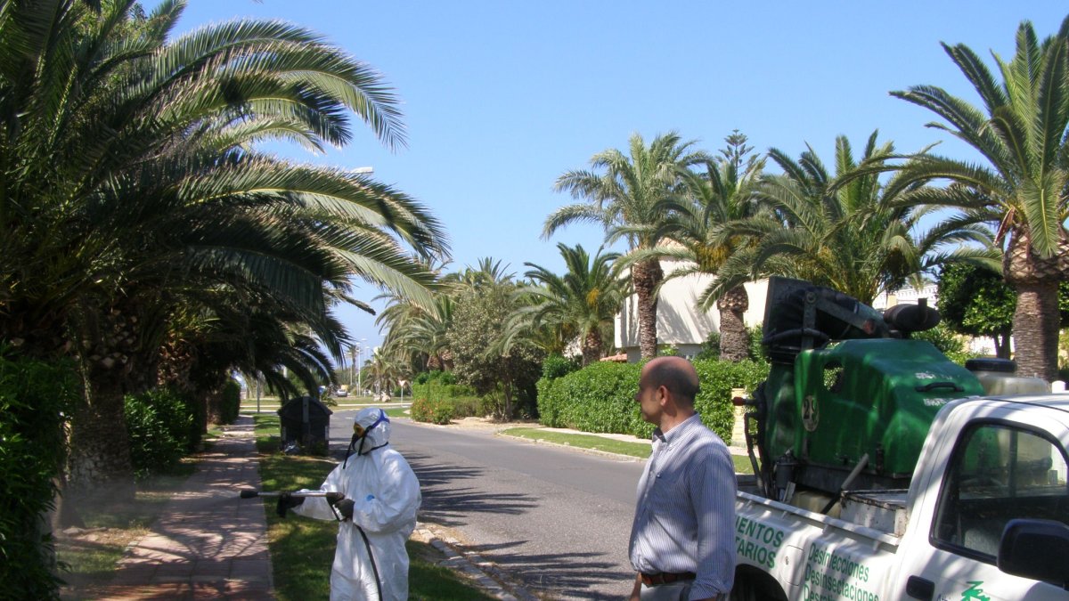 Labores de fumigación en Almerimar.