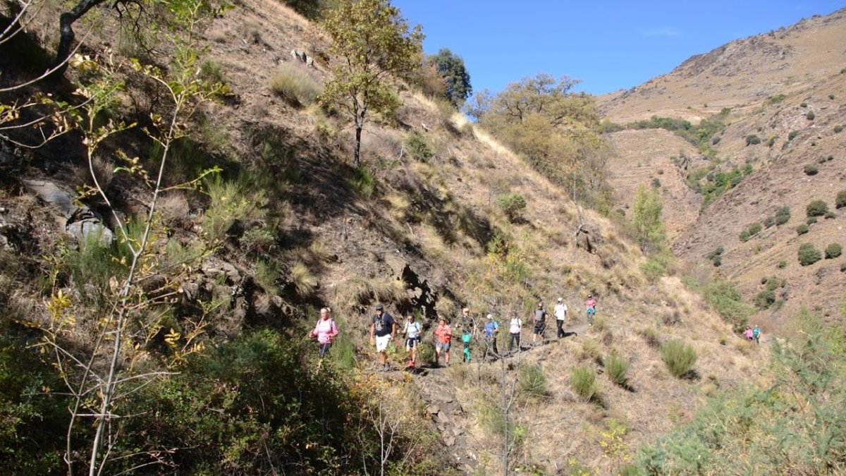 Imagen de una actividad de senderismo.