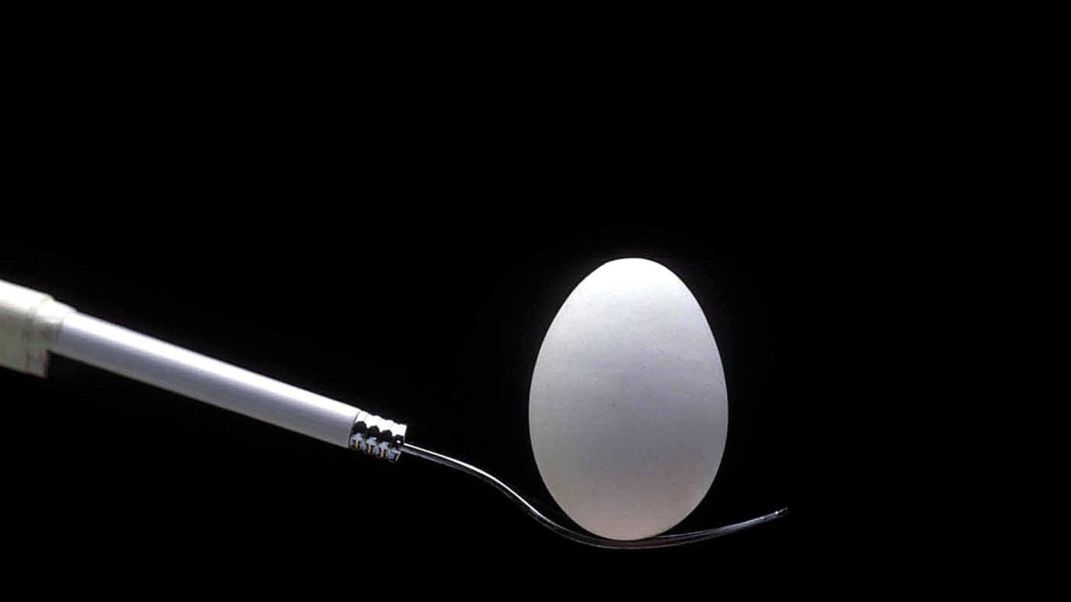 El colegio de Veterinarios advierte sobre el uso de huevos.