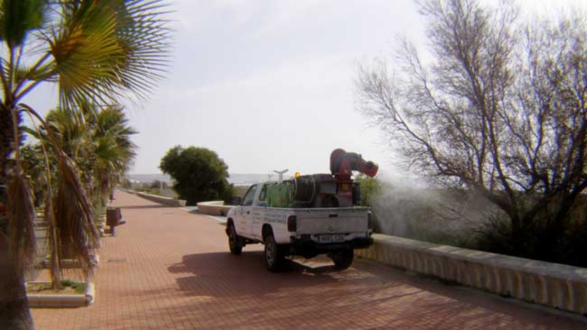 Trabajo contra los mosquitos en El Ejido.