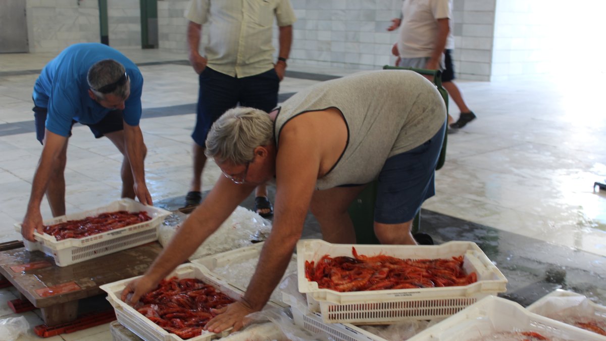 Pescadores descargan las cajas de gamba roja en la lonja de Garrucha.