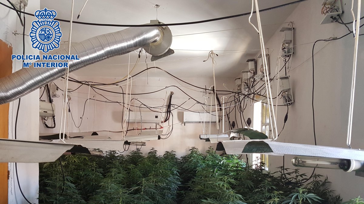 La electricidad necesaria para alimentar las instalaciones la tomaban fraudulentamente de las acometidas generales.