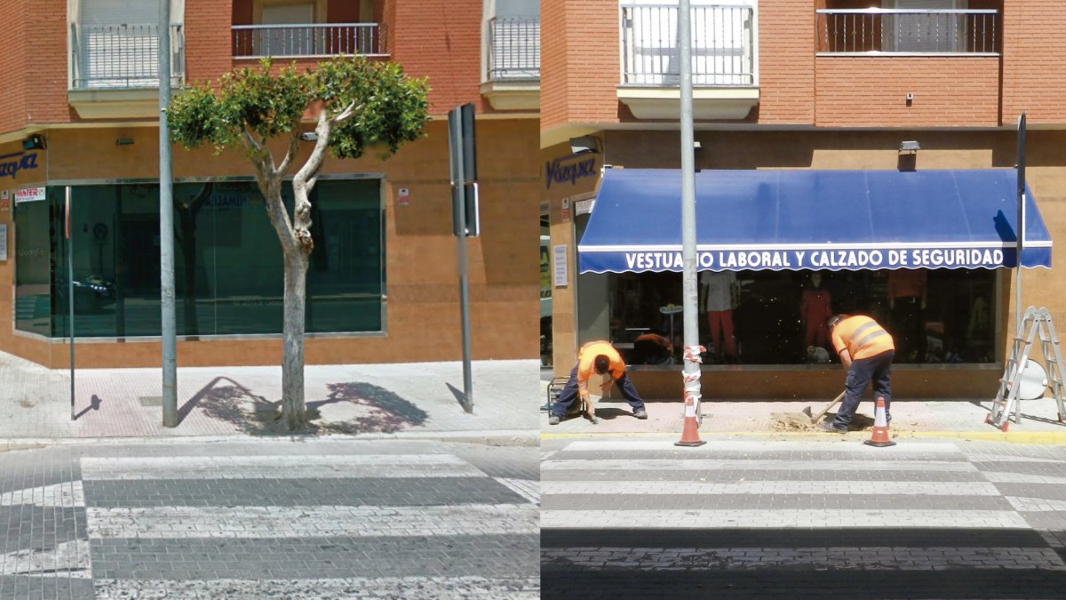El paso de peatones y antes y después de quitar el árbol y la señal.