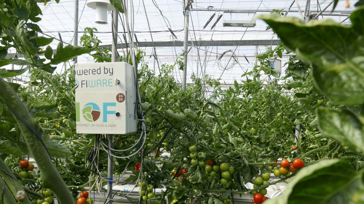 Las nuevas tecnologías incrementarán la productividad y la eficiencia de las cosechas hortícolas en el futuro.