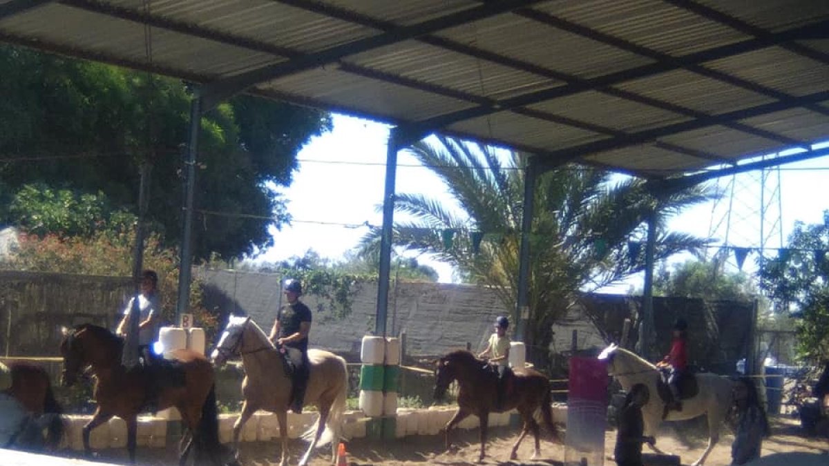Los niños podrán disfrutar de los animales y realizar divertidas actividades en grupo.