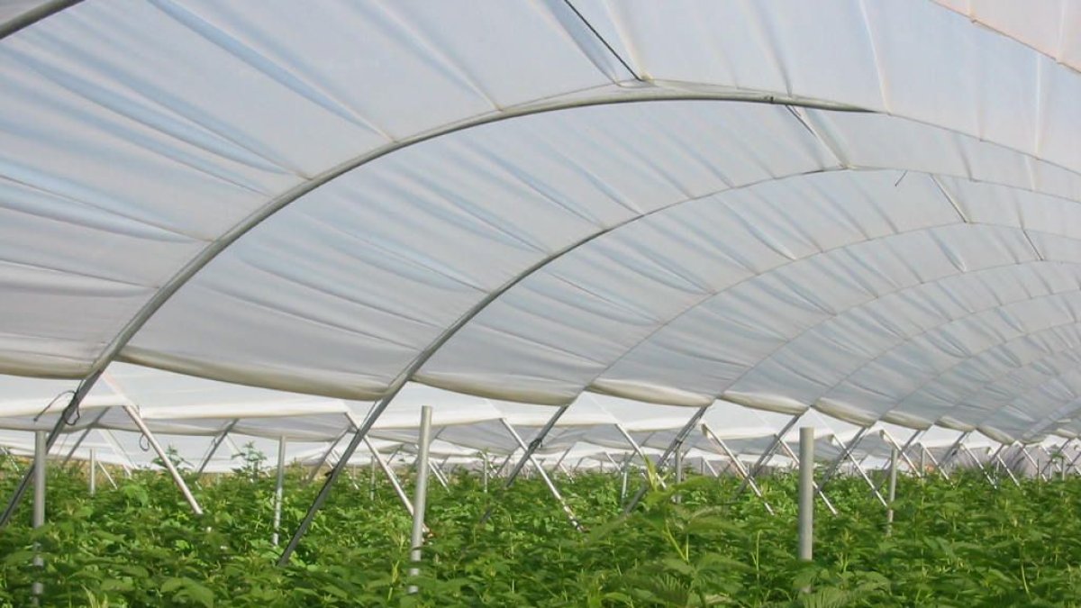 Bruselas defiende el uso de plásticos biodegradables