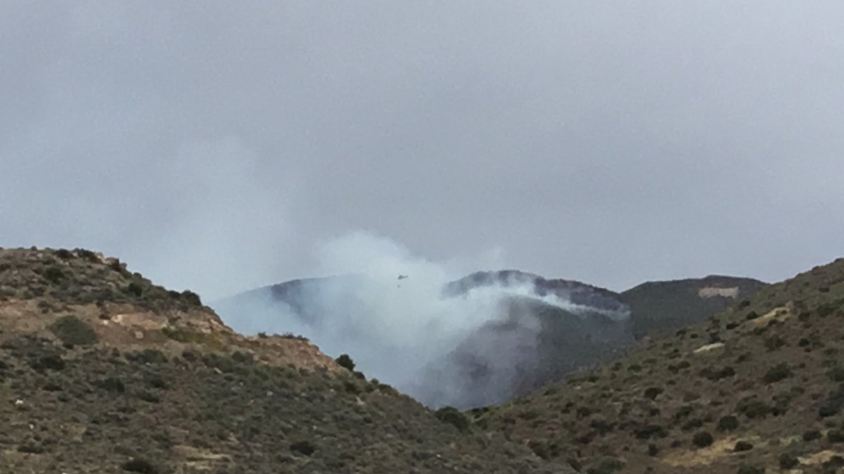 Incendio declarado esta tarde en el Barranco de la Mula.