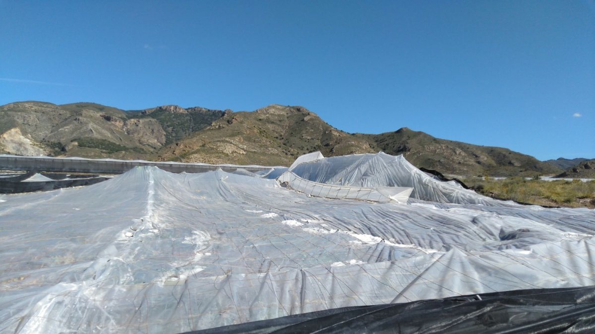 Uno de los invernaderos afectados por el granizo, esta mañana.