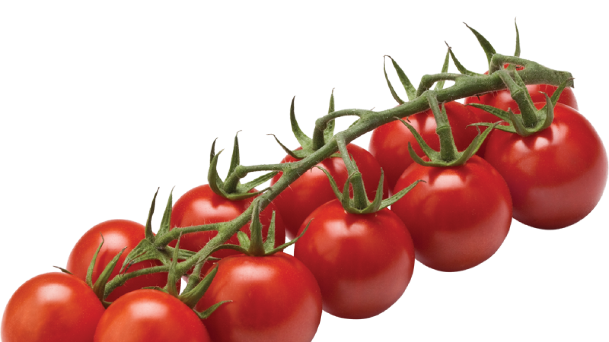 Bodegón de tomate cherry rama.