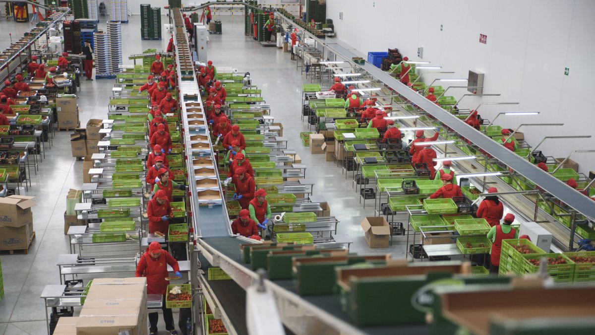 Almacén para la confección y el manipulado de frutas y hortalizas en Almería.