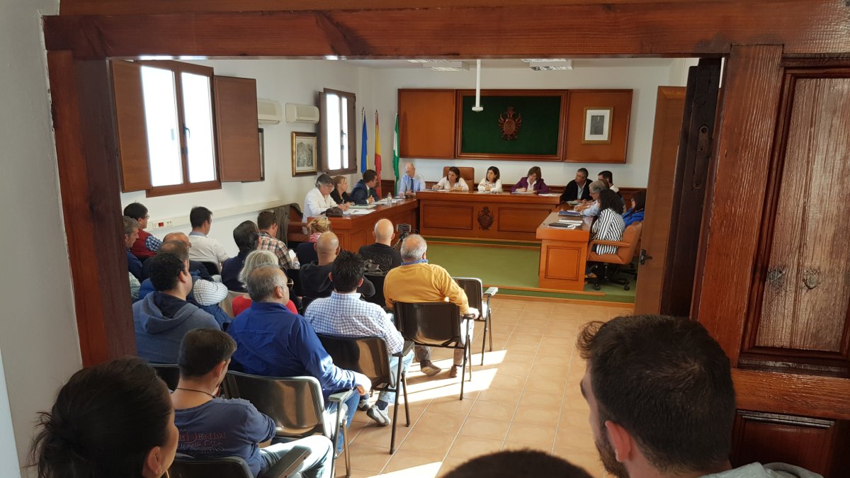 Afectados por el paseo asisten al debate del convenio para su construcción desde la puerta del salón de plenos.