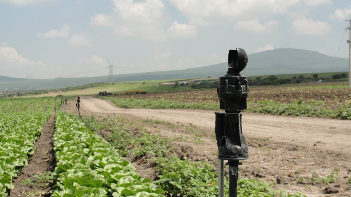 instalación de un sistema de riego inteligente en un cultivo vegetal al aire libre.