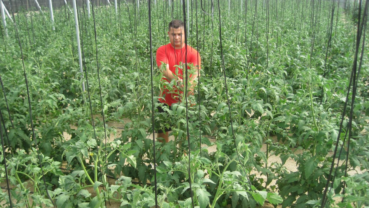 La reducción del presupuesto agrícola comunitario perjudica a los intereses del sector agrario almeriense.
