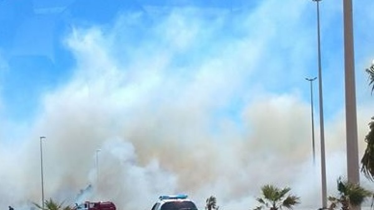 Los bomberos del Poniente extinguiendo el incendio que se ha producido en Almerimar.