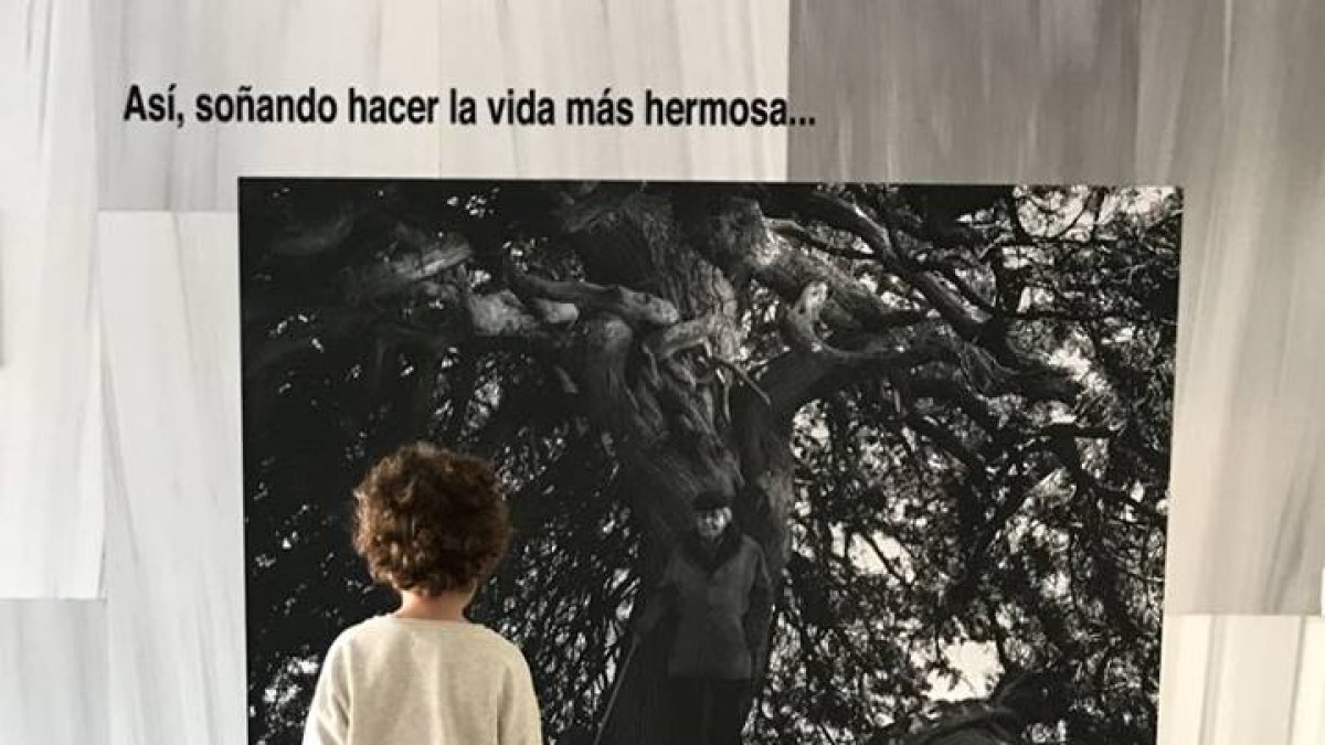 Un niño observa uno de los retratos de Julio Alfredo Egea, obra de Rodrigo Valero.