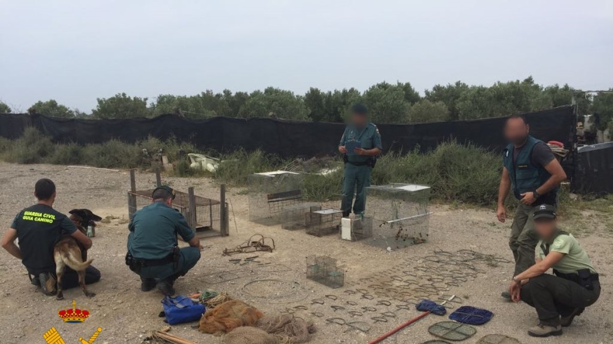 Agentes, junto a instrumentos ilegales de captura de animales que han localizado.