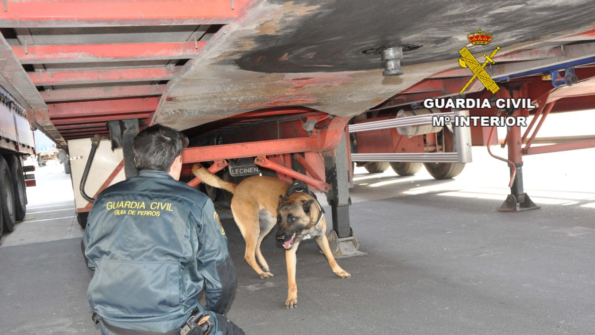 Una de las inspecciones en el Puerto de Almería.
