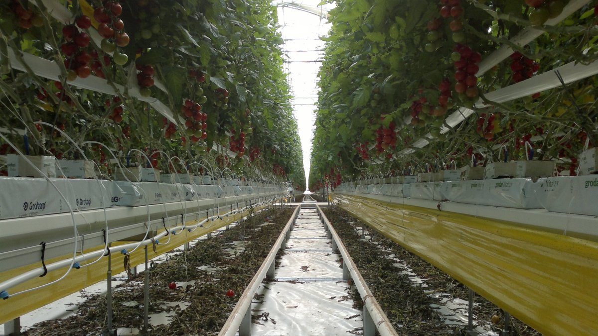 El agro almeriense afronta distintos retos que se debatirán el próximo 1 de junio en la provincia de Almería.