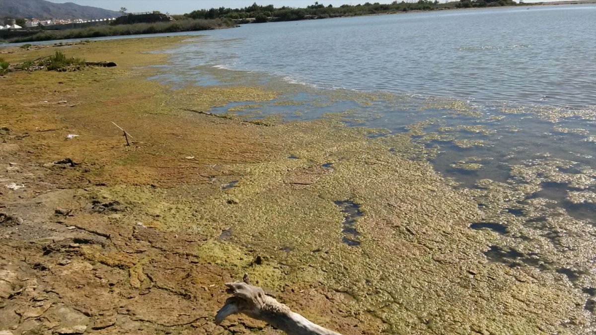 Vertidos de la actual depuradora en la desembocadura del río Almanzora, en la costa cuevana.