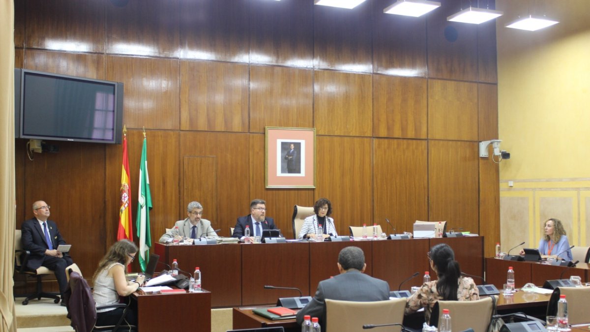 El consejero de Agricultura, Rodrigo Sánchez Haro, durante su comparecencia ante el Parlamento regional.