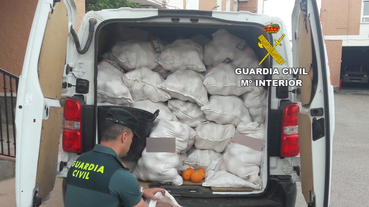 La Guardia Civil incautando los frutos robados.