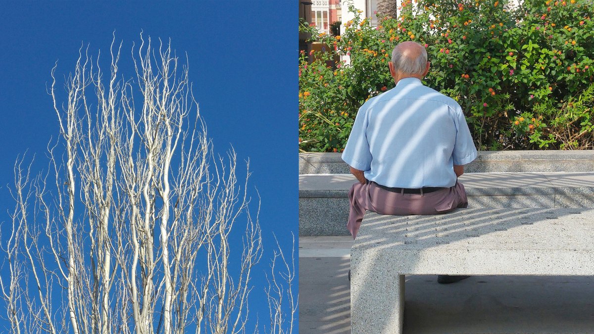 Obra del almeriense Cristóbal Carretero Cassinello incluida en la exposición.