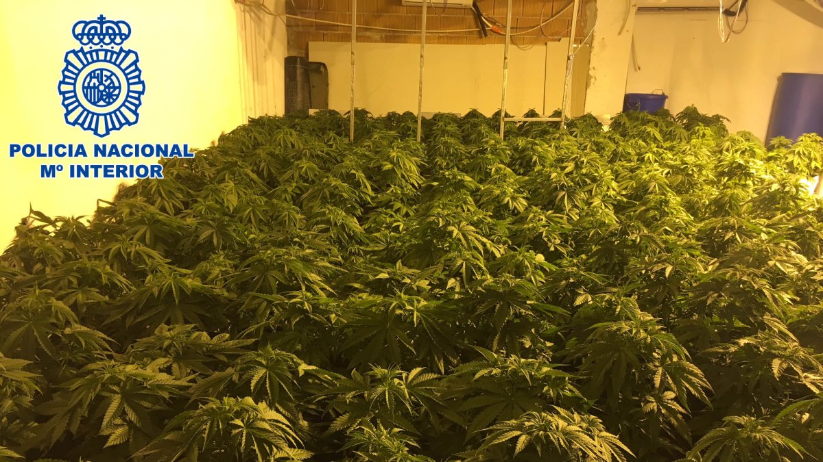 Interior de la vivienda, adaptada para convertirse en una fábrica de marihuana.